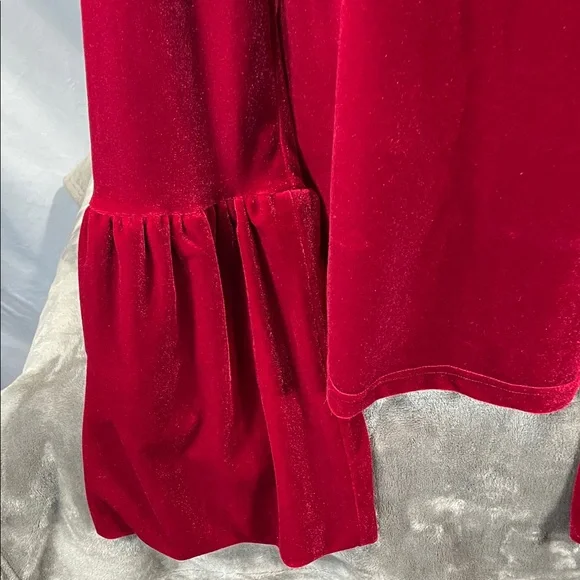 Torn by Ronny Kobo Crimson Velvet Blouse - Picture 3 of 13